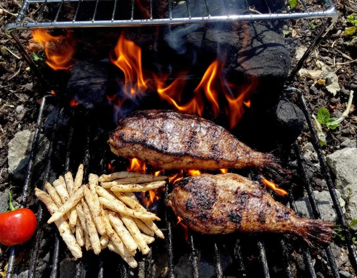 La Magie des Résidus de Grillade pour Transformer et Protéger votre Potager